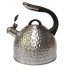 Tea Kettle 2020 Stainless Steel Whistling Tea Kettle