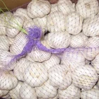 PE Mono filament mesh bags for shellfish, oyster, garlic