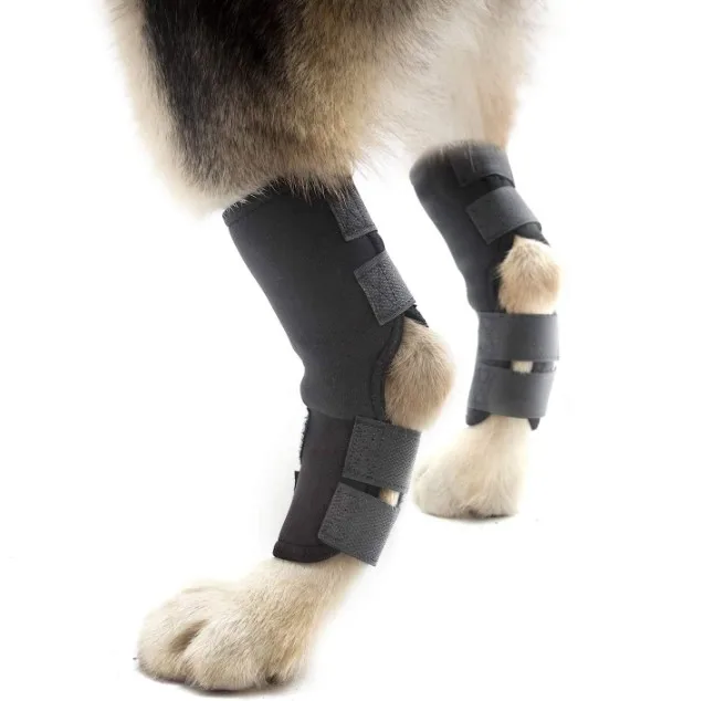 Hot Selling Neoprene pet leg protector Dog surgical injury protector Heal compression brace Pet knee brace, Black
Hot Selling Neoprene pet leg protector Dog surgical injury protector Heal compression brace Pet knee brace, Black