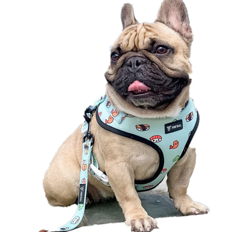 High Quality Dog Collar Harness Leash Set for Small Dogs Fashion Pets Walk Lead Harness for Medium Dogs Puppy Pug Accessories
High Quality Dog Collar Harness Leash Set for Small Dogs Fashion Pets Walk Lead Harness for Medium Dogs Puppy Pug Accessories