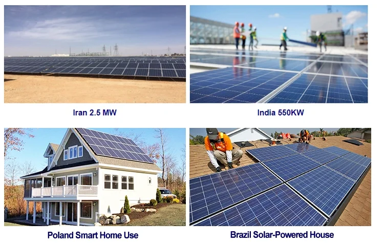 paste-pic-dp_uuid_g9noz