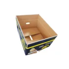 china supplier wholesale custom fruit juice corrugated packaging box