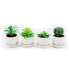 Modern plastic Green Grass Prickly pear Cactus mini faux fake potted artificial plant with ceramic pot