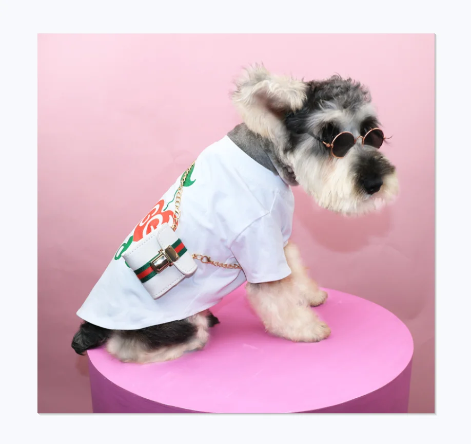 Luxury brand classic color red and green stripes pet dog bag accessories, Customized color
Luxury brand classic color red and green stripes pet dog bag accessories, Customized color
