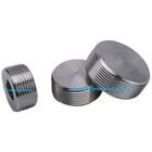 Stainless Steel Cap Pipe Fitting Capcap Stainless Steel BSP Thread Cap Pipe Fitting