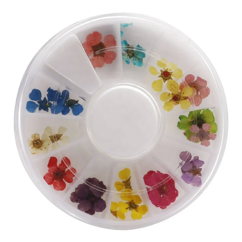 12 colors 24pcs dried flower flower for nail art decorations natural nail dry flowers wheel, Picture
12 colors 24pcs dried flower flower for nail art decorations natural nail dry flowers wheel, Picture