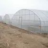 Cheap price agricultural tunnel green house for sale