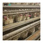 Best price good market automatic chicken layer cage with egg laying equipment for poultry farm