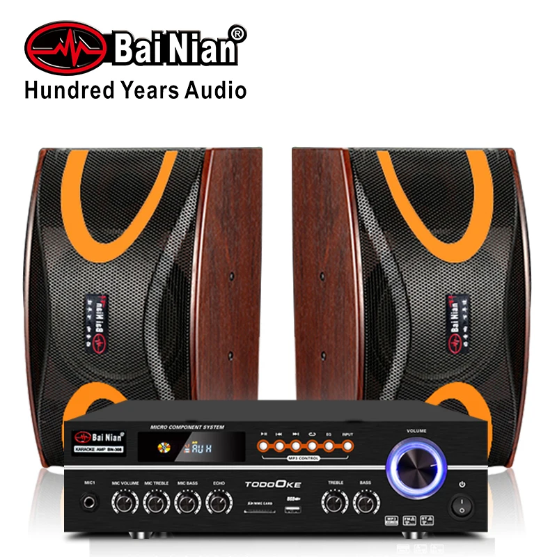 karaoke speakers with amplifier
