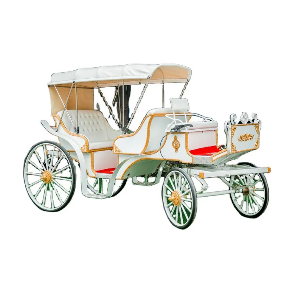 Caleches Sightseeing Tourist Horse Drawn European Horse Carts Wagon Carriage Pumpkin Wedding Electric Horse Carriage, Customized
Caleches Sightseeing Tourist Horse Drawn European Horse Carts Wagon Carriage Pumpkin Wedding Electric Horse Carriage, Customized