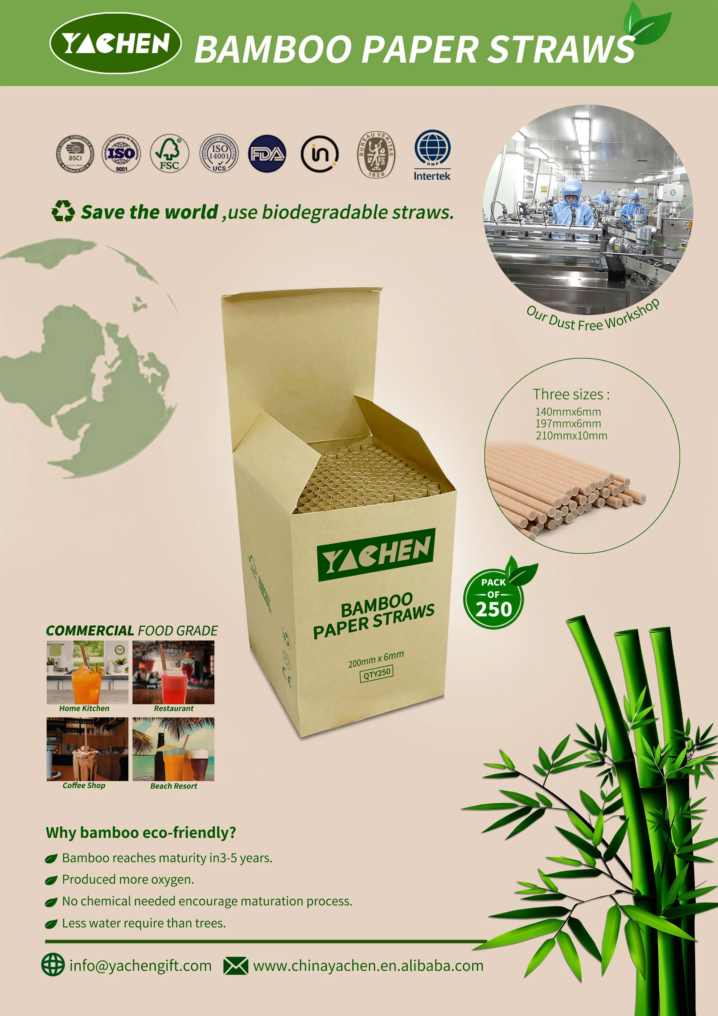 fsc eco biodegradable disposable drinking paper bamboo paper