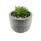 Succulents Cement Plant Pot Wholesale Flower Pots Manufacturer Green Plants Pot Artificial Plants Cement Succulents