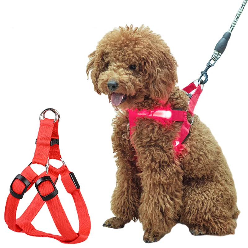 Nylon LED Light Adjustable Safety Dogs Night Walking durable bright led flashing pet dog harness
Nylon LED Light Adjustable Safety Dogs Night Walking durable bright led flashing pet dog harness
