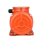 concrete vibrating motor single phase vibrating motor AC electric vibrator motor