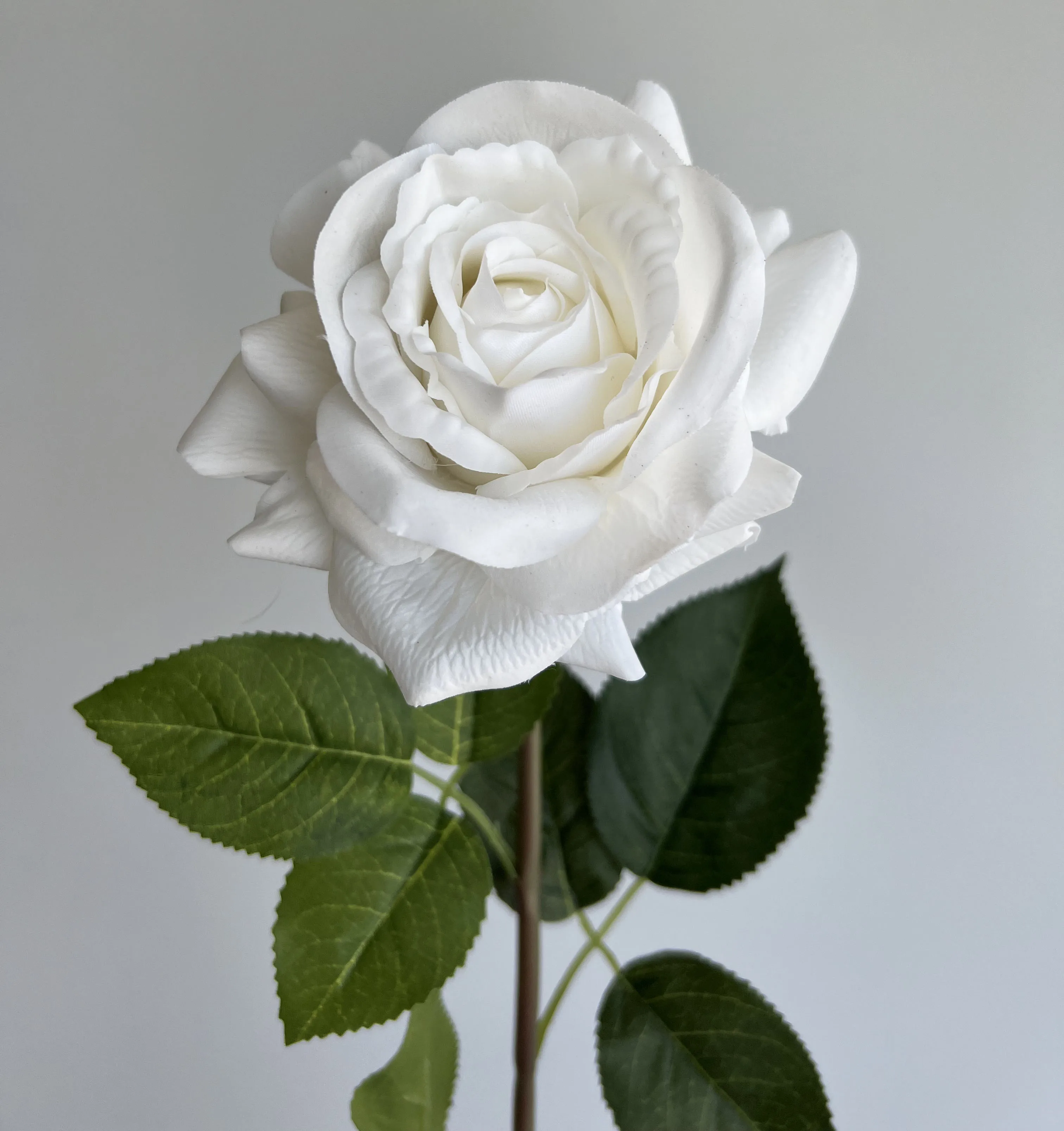 O-X306 Wholesale Price Real Touch Artificial Flower Rose Home wedding Decor Artificial Flowers Real Touch Single Stem Rose
O-X306 Wholesale Price Real Touch Artificial Flower Rose Home wedding Decor Artificial Flowers Real Touch Single Stem Rose