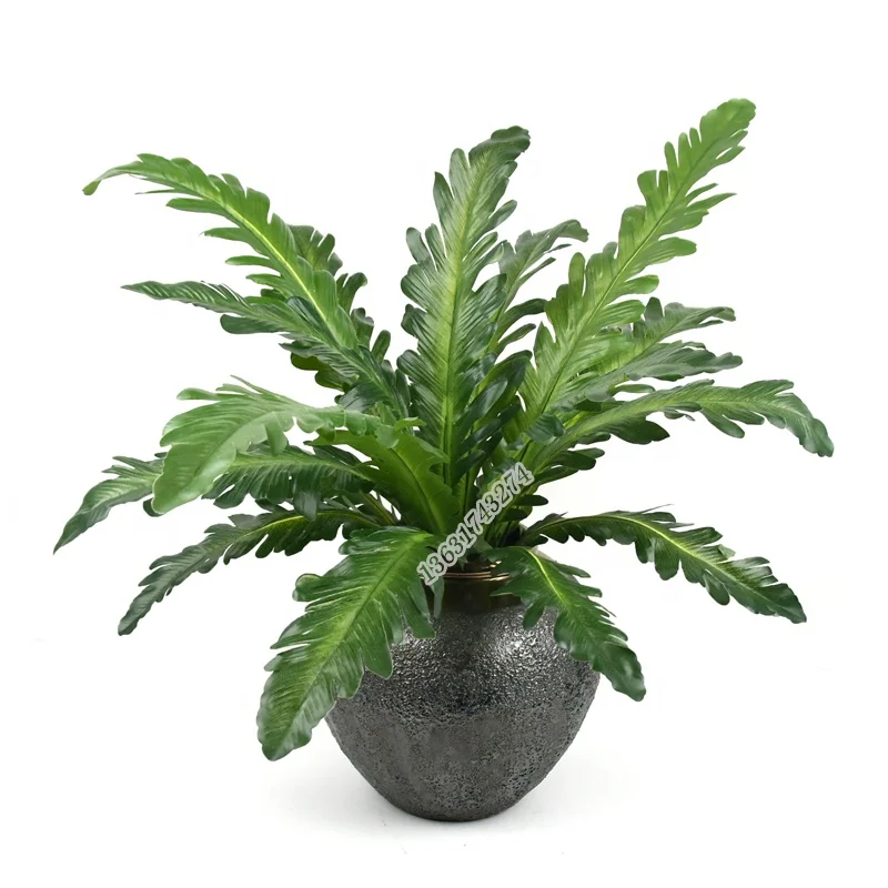 Chinese bonsai 50 cm asplenium high quality fake plant artificial greenery for pot decoration, Picture
Chinese bonsai 50 cm asplenium high quality fake plant artificial greenery for pot decoration, Picture