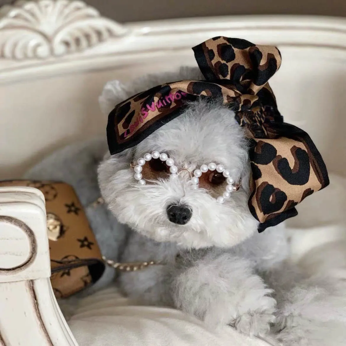 JXANRY Dog Pearl Glasses Dog Creative Toy Sunglasses Cats Cute Clothes Decoration Pets Fashion Accessories
JXANRY Dog Pearl Glasses Dog Creative Toy Sunglasses Cats Cute Clothes Decoration Pets Fashion Accessories