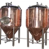 /product-detail/red-copper-home-beer-fermenter-tank-60647095515.html