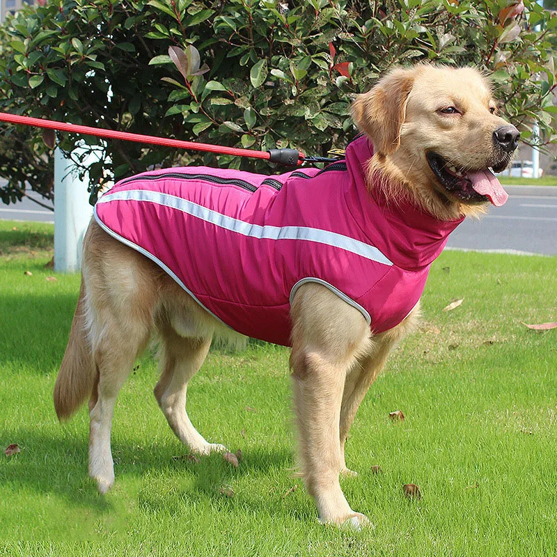 Wholesale Custom Waterproof Pet Dog Coat Winter Dog Clothes Jacket For Small Medium Big Dogs, As pictures show
Wholesale Custom Waterproof Pet Dog Coat Winter Dog Clothes Jacket For Small Medium Big Dogs, As pictures show