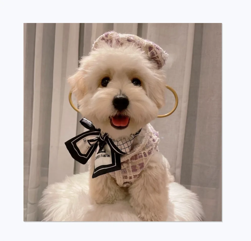 Luxury Brand C Design Woolen Spring Autumn And Winter Cute Lady Pet Dog Vest Jacket And Hat Set
Luxury Brand C Design Woolen Spring Autumn And Winter Cute Lady Pet Dog Vest Jacket And Hat Set