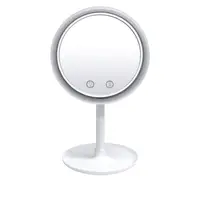 2019 new product led light mirror makeup led touch screen makeup mirror light home use
2019 new product led light mirror makeup led touch screen makeup mirror light home use
