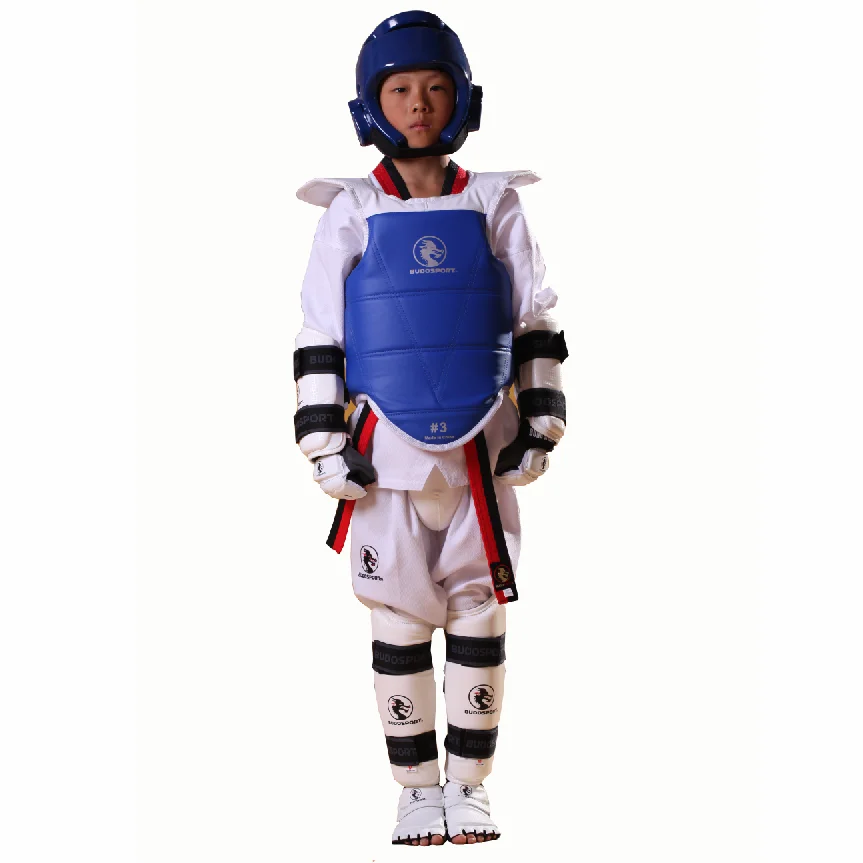 whole sale high quality taekwondo protective gear taekwondo protection training equipment, Customized color
whole sale high quality taekwondo protective gear taekwondo protection training equipment, Customized color