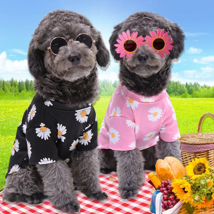 wholesale Ropa para mascotas Daisy design dog Spring summer clothes tshirt new model
wholesale Ropa para mascotas Daisy design dog Spring summer clothes tshirt new model