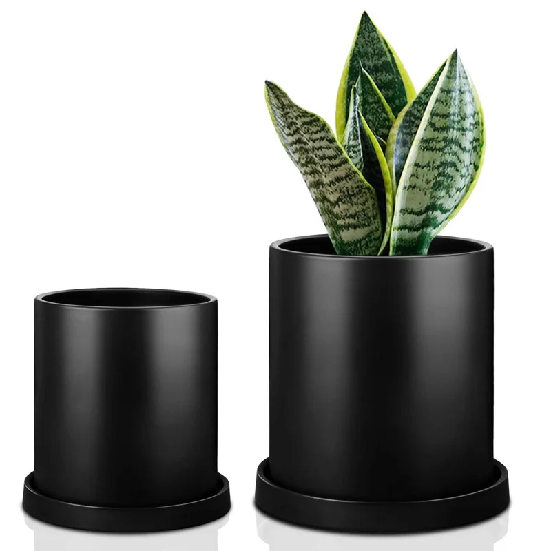 Simple pure black white pot planter 2-piece ceramic flower pots for home decoration and office greening
Simple pure black white pot planter 2-piece ceramic flower pots for home decoration and office greening