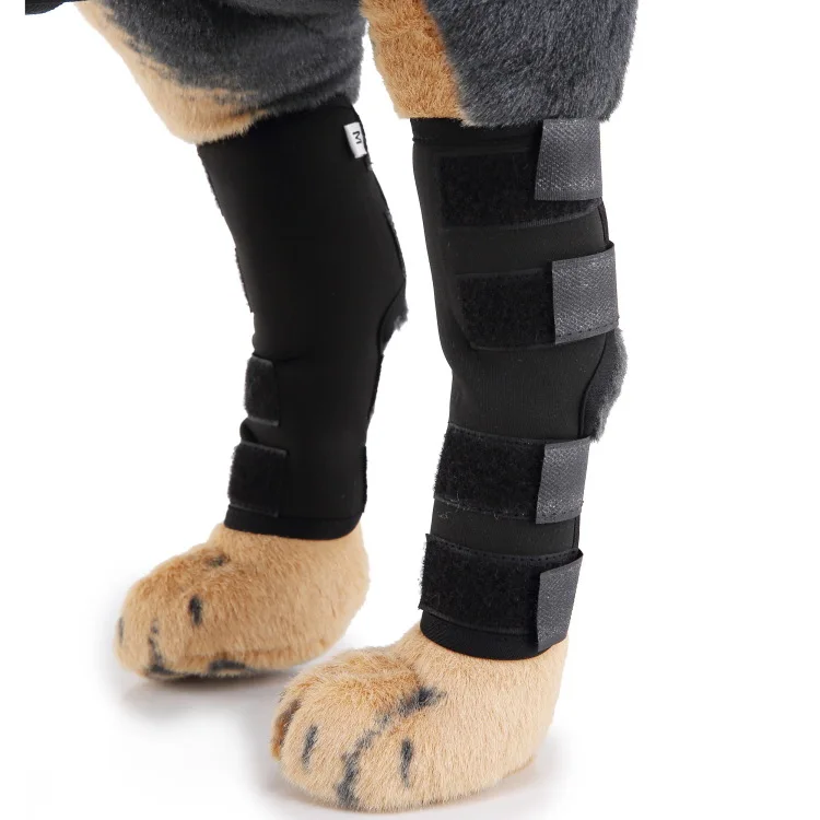 2021 New Pet Knee Pads Support Dog Leg Reflective Pet Protector Dog Surgery Injury Dog Knee Pads, Picture shows
2021 New Pet Knee Pads Support Dog Leg Reflective Pet Protector Dog Surgery Injury Dog Knee Pads, Picture shows