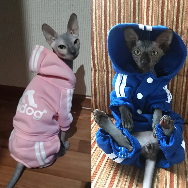 Cute Cat Sweater Hoodie Winter Warm Pet Clothes for Cats Sphinx Katten Clothing Outfit Ropa Para gatos Kedi Giyim Pets Products, Black,red,gray,light gray,yellow,pink,dark blue
Cute Cat Sweater Hoodie Winter Warm Pet Clothes for Cats Sphinx Katten Clothing Outfit Ropa Para gatos Kedi Giyim Pets Products, Black,red,gray,light gray,yellow,pink,dark blue