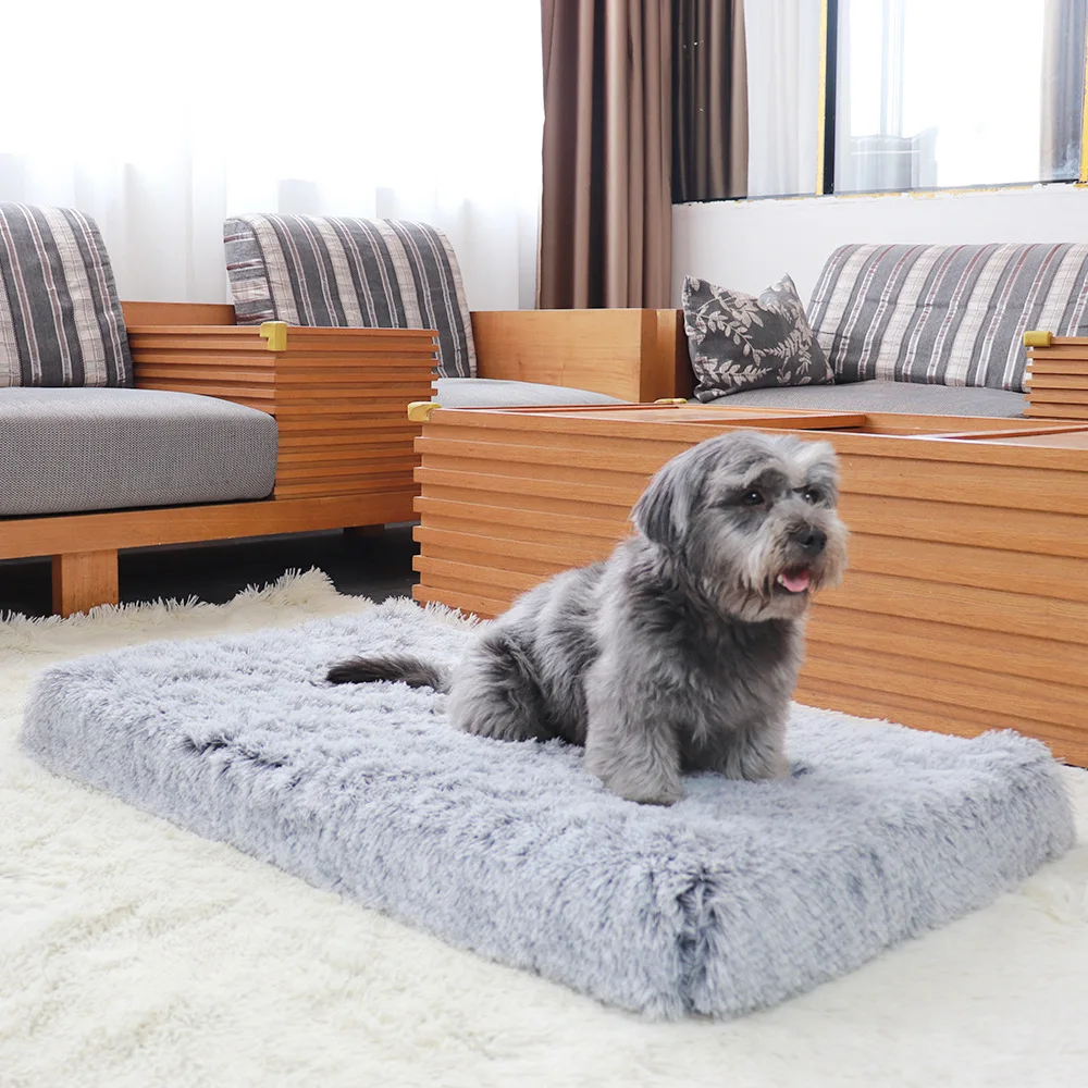 2021 Square Dog Bed Cushion Cat Mats Plush Cat Bed Deep Sleep Large Dog Cushion Pet Supplies
2021 Square Dog Bed Cushion Cat Mats Plush Cat Bed Deep Sleep Large Dog Cushion Pet Supplies
