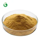 GMP Factory Fenugreek Seeds Extract Powder 50% Fenugreek Saponin