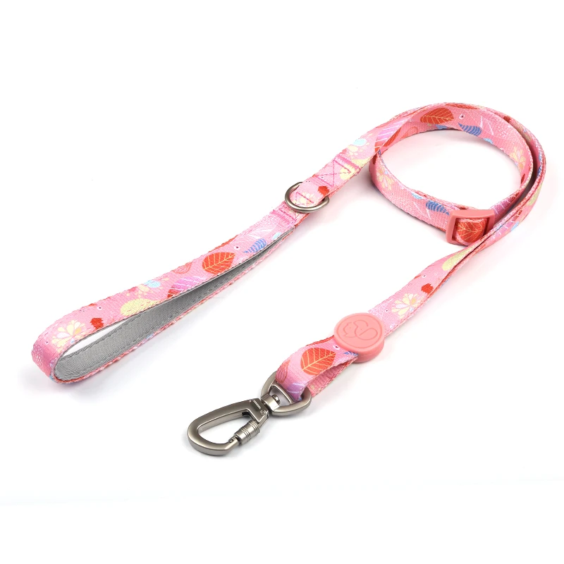 Custom Dog Leashes Polyester Puppy Cat Dog with Neoprene For Small Medium Large Dogs
Custom Dog Leashes Polyester Puppy Cat Dog with Neoprene For Small Medium Large Dogs