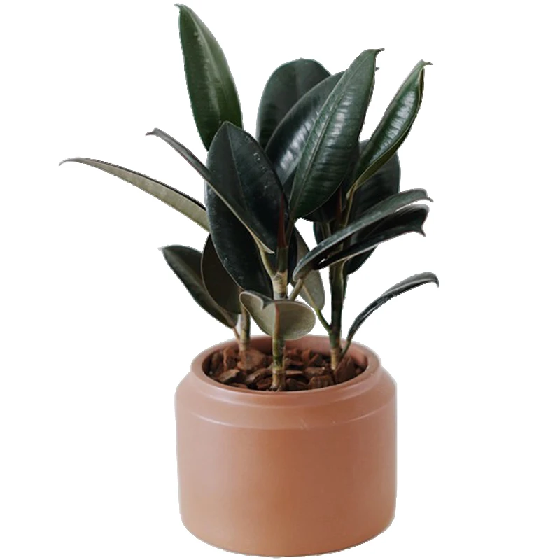 Nordic simple design outdoor large size cement planter pots for decor, Red/light grey/dark grey
Nordic simple design outdoor large size cement planter pots for decor, Red/light grey/dark grey