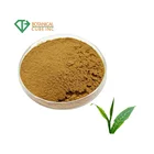 Natural organic green tea extract green tea extract powder Caffeine powder