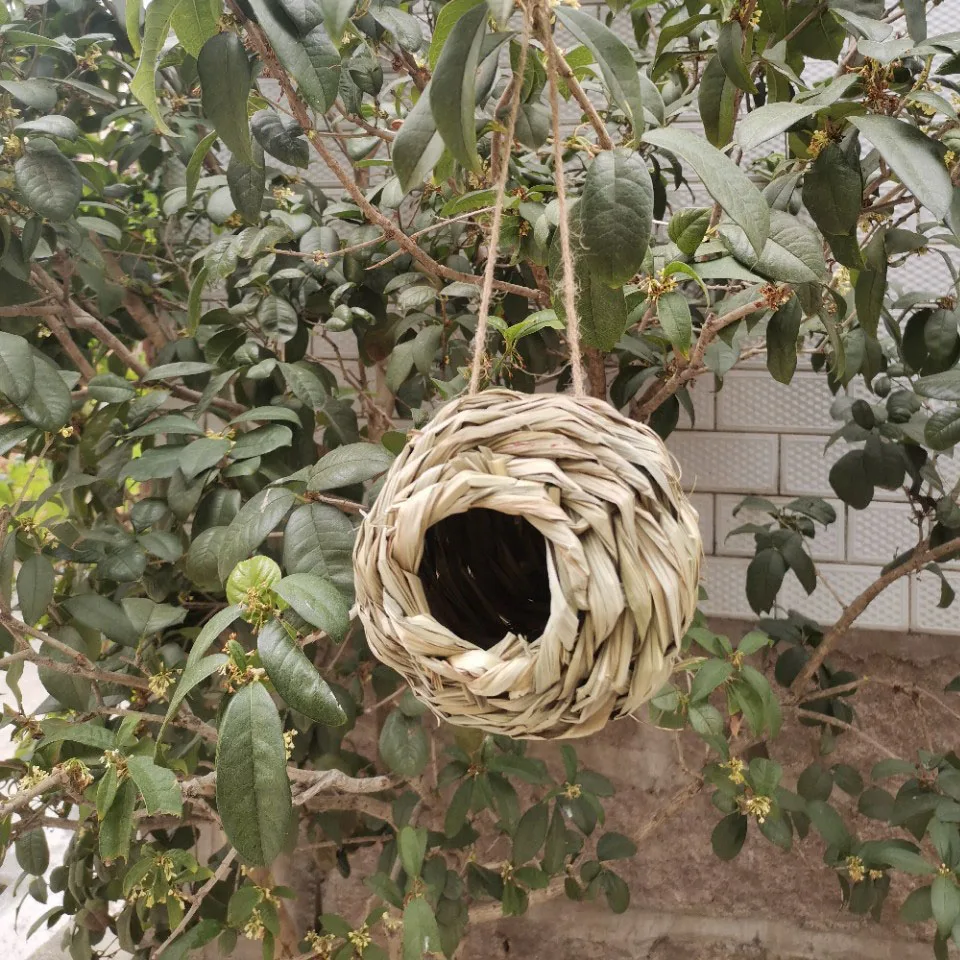 Natural Simulation Bird Nest Hideaway Small Animal Toy Parrots Parakeet Conures Cockatiel Grass House Pet Cage Habitats Decor
Natural Simulation Bird Nest Hideaway Small Animal Toy Parrots Parakeet Conures Cockatiel Grass House Pet Cage Habitats Decor