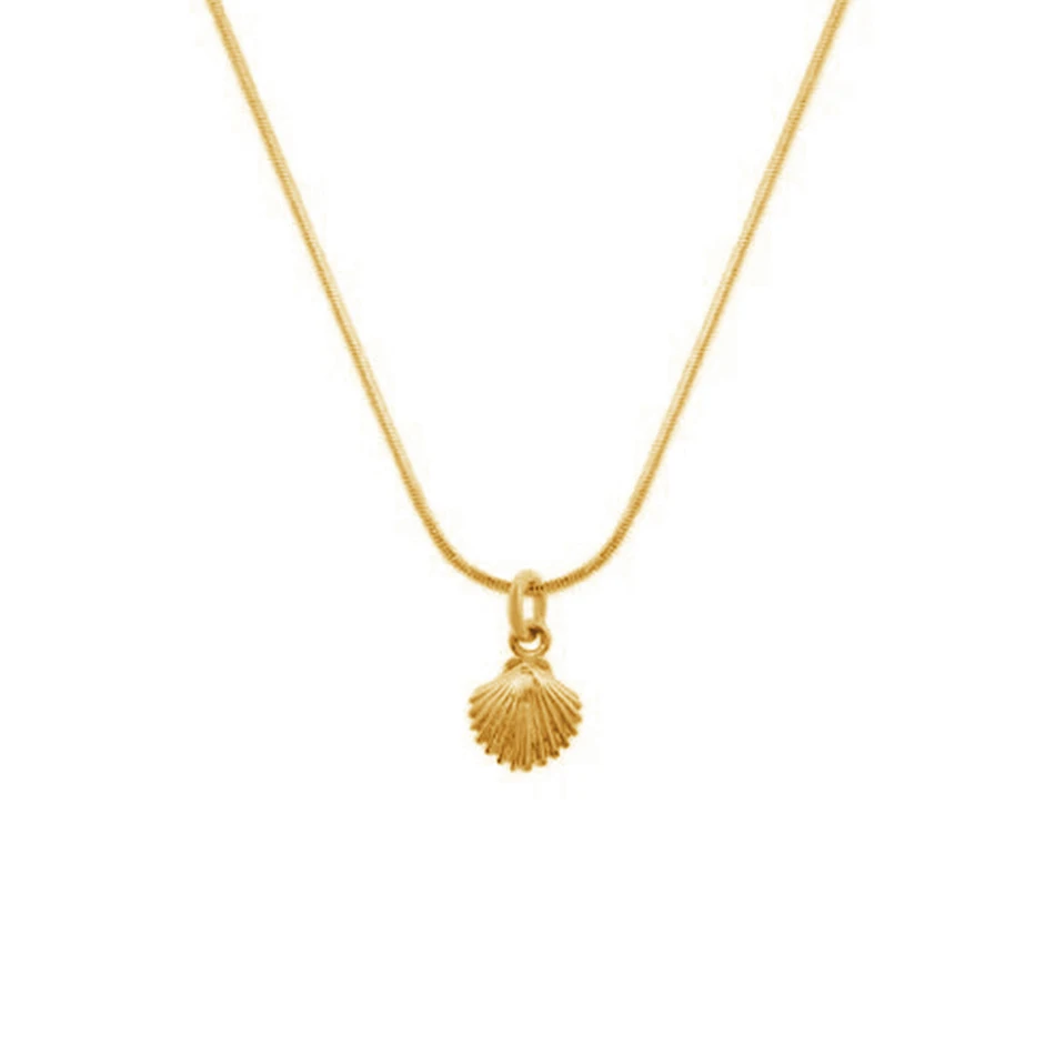 925 sterling silver cute jewelry pendant necklace online wholesale 14k gold plated shell necklace
925 sterling silver cute jewelry pendant necklace online wholesale 14k gold plated shell necklace