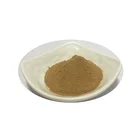 100% natural neem leaf extract powder