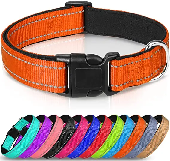 Factory price high quality soft neoprene reflective design stripes luxury training dog collars
Factory price high quality soft neoprene reflective design stripes luxury training dog collars