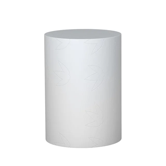 Personalized 4 Ply Wood Pulp Toilet Paper Dispenser Toilet Paper Soft Tissue Roll, White color
Personalized 4 Ply Wood Pulp Toilet Paper Dispenser Toilet Paper Soft Tissue Roll, White color