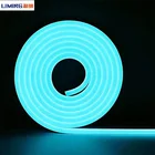 12v flex led light ice blue 5m packing blister mini dome strip neon light
