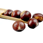 Food Preferential Price Of Chinese Instant Chestnut Natural Health Food