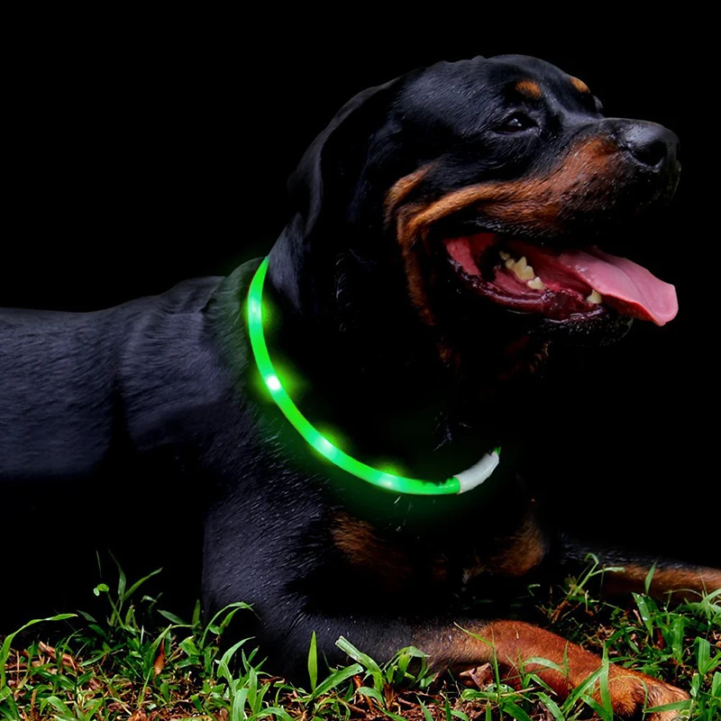Waterproof Adjustable Light up Necklace Led Dog Collar for Dogs COLLARS Keep Your Pet Visible in Darkness USB Rechargeable 12pcs, Red,blue,green,orange,yellow,white and pink
Waterproof Adjustable Light up Necklace Led Dog Collar for Dogs COLLARS Keep Your Pet Visible in Darkness USB Rechargeable 12pcs, Red,blue,green,orange,yellow,white and pink