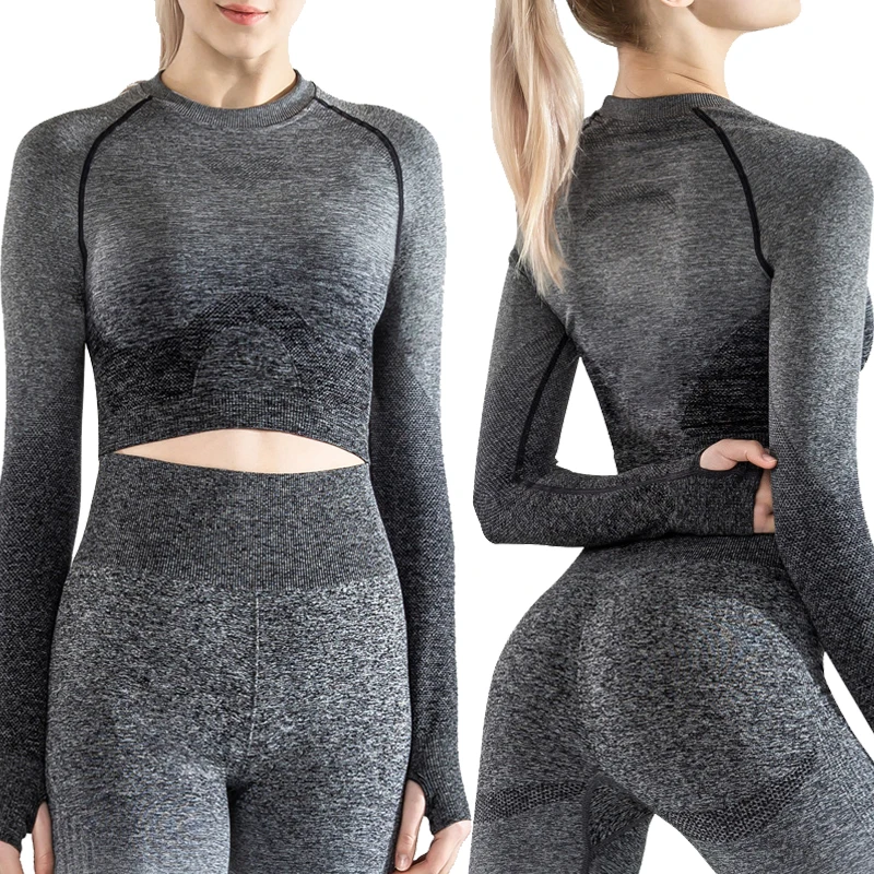 Popular Women Seamless Yoga Suit 2 piece Sports Clothes Fitness Yoga Longsleeve Tracksuit Workout Set
Popular Women Seamless Yoga Suit 2 piece Sports Clothes Fitness Yoga Longsleeve Tracksuit Workout Set