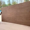 ISO High Quality plywood from chanta group