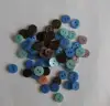 Shell button many colors many size