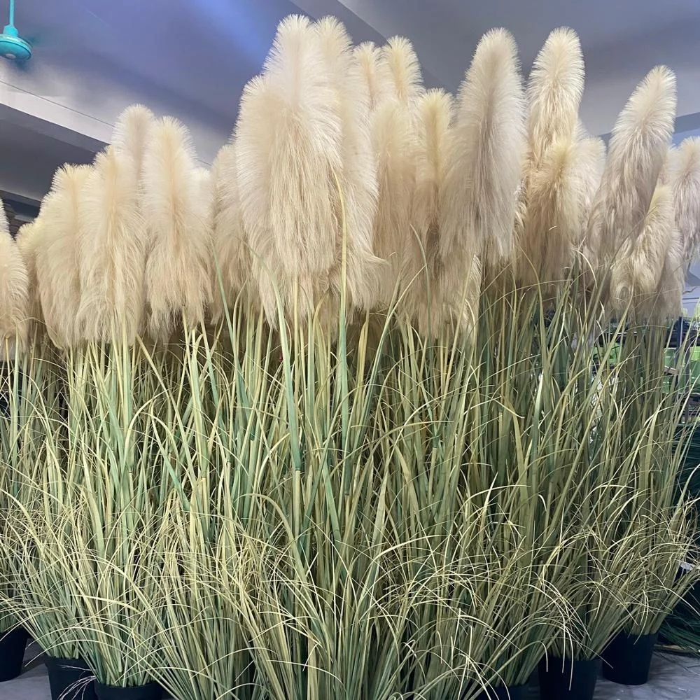 220cm Top quality plastic simulation pampas indoor decoration large artificial onion reed grass in pot, Autumn color artificial reed in pots
220cm Top quality plastic simulation pampas indoor decoration large artificial onion reed grass in pot, Autumn color artificial reed in pots