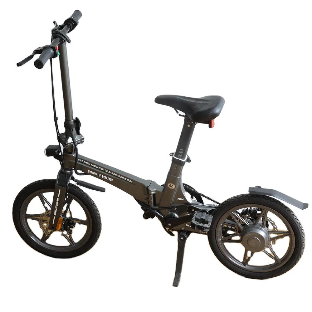 youth electric bicycle