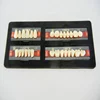 /product-detail/2019-hot-sale-dental-study-implants-model-price-for-usa-62398469573.html