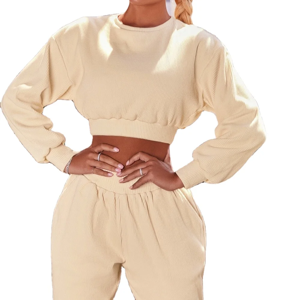 Wholesale Training Fashion 100% Cotton Short Tracksuit Women Clothing Lounge Tracksuit Hoodies 2 Pieces Women hoodie Sets, Customized colors 
Wholesale Training Fashion 100% Cotton Short Tracksuit Women Clothing Lounge Tracksuit Hoodies 2 Pieces Women hoodie Sets, Customized colors